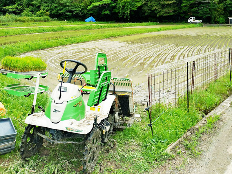 ワーカーズコープ山口　16年目の米づくり　今回は3反増えて1町5反